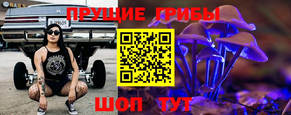 Псилоцибиновые грибы Psilocybe Мытищи